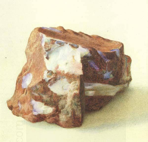 Alexander macdonald A Study of Opal in Ferrugineous jasper from New Guinea (mk46) oil painting picture
